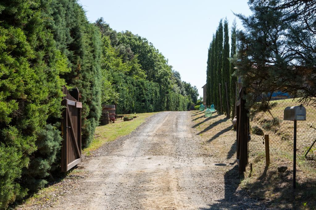 Agriturismo La Vigna San Gimignano Exteriör bild